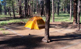 Mariano A.'s photo at Pinegrove Campground near Mormon Lake, AZ