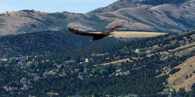 Camper submitted image from Cowboy RV Park