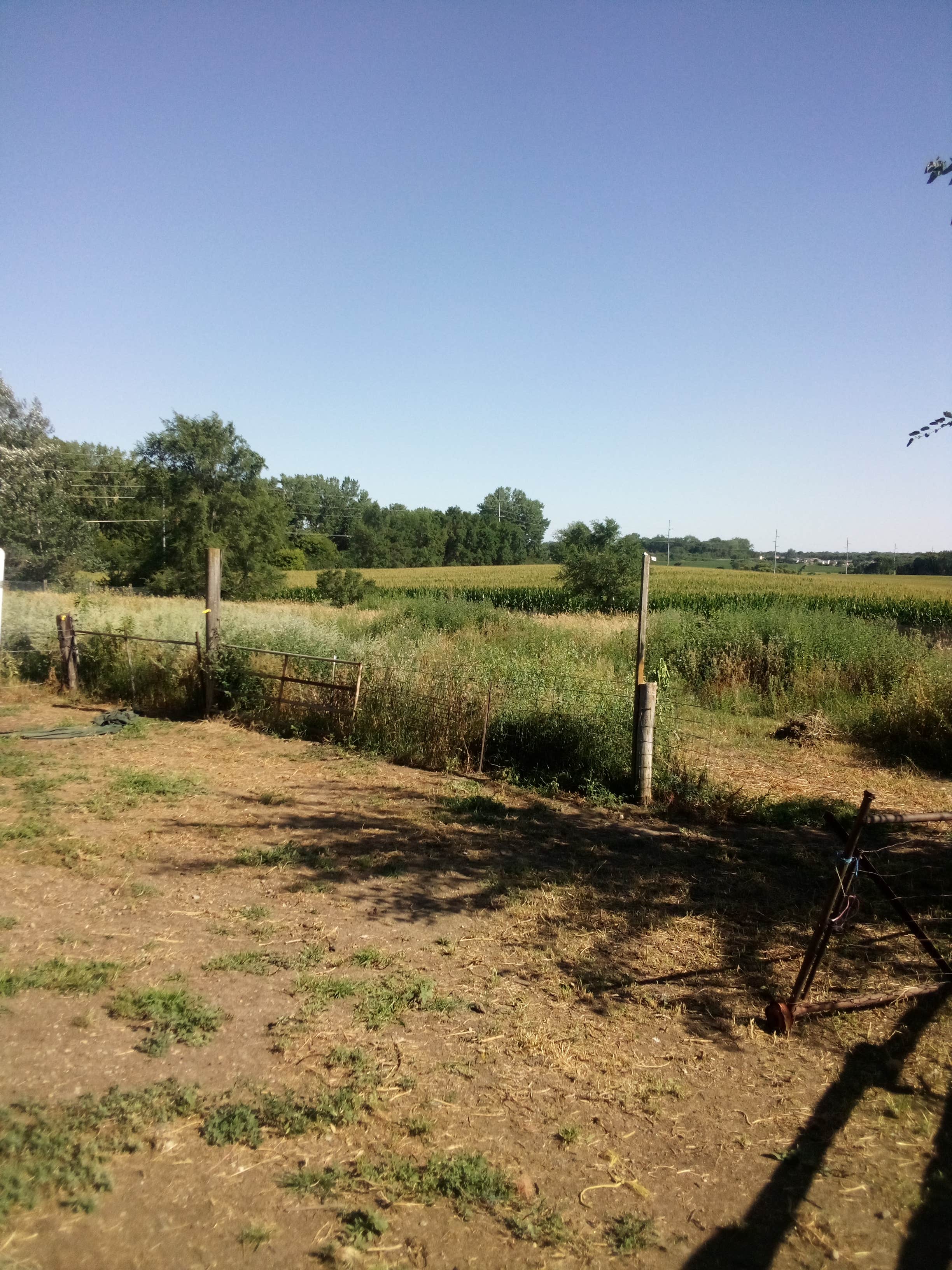 Camper-submitted photo at JRs Camping Oasis near Sioux Falls, SD