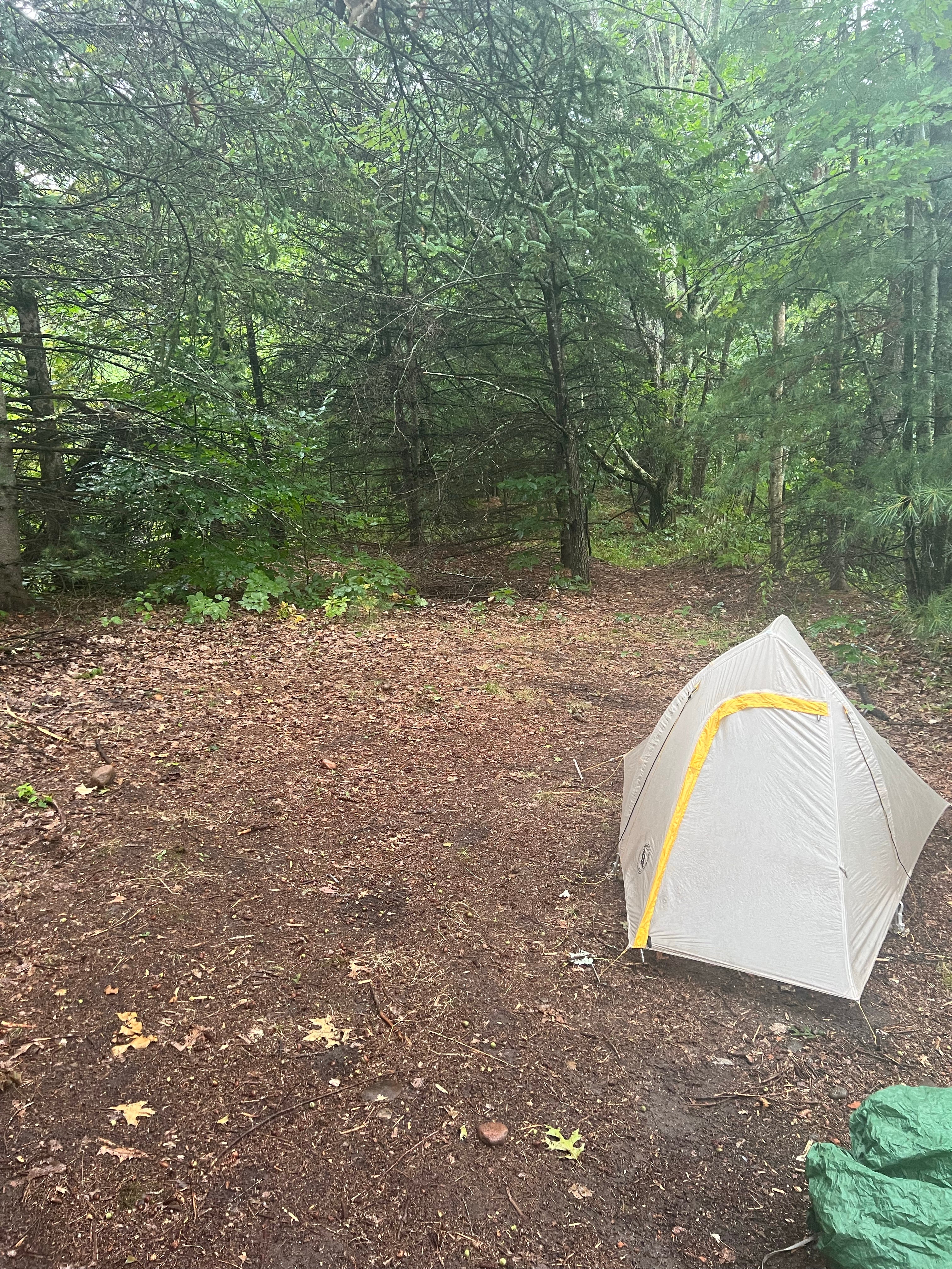 Camper submitted image from Camp Chickweed - 4