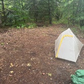 Review photo of Camp Chickweed by Justin P., August 24, 2022
