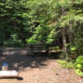 Review photo of South Skookum Lake Campground by Scott B., July 24, 2018