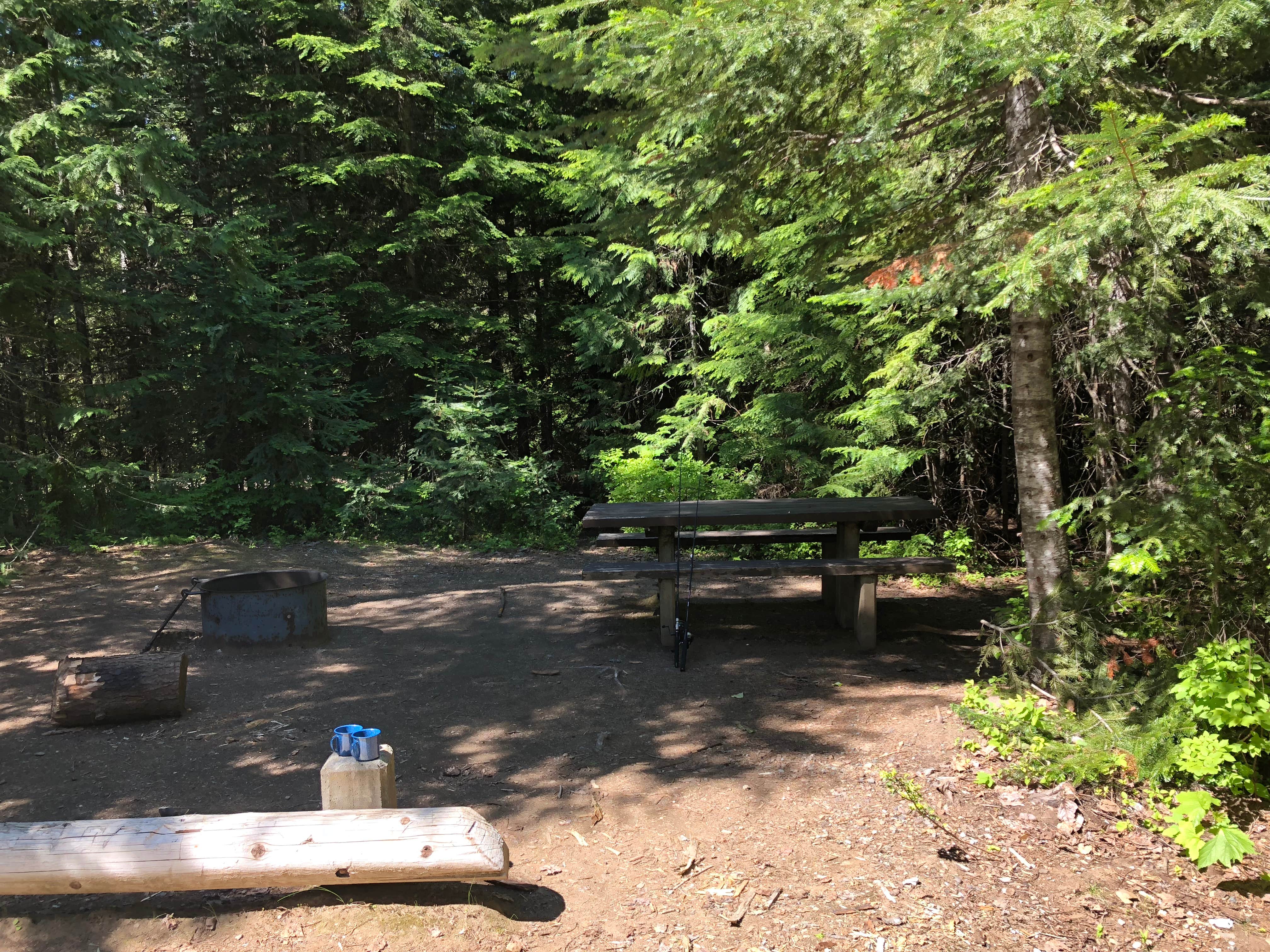 Camper submitted image from South Skookum Lake Campground - 4