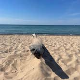 Review photo of Dunewood Campground — Indiana Dunes National Park by Emilie H., August 24, 2022