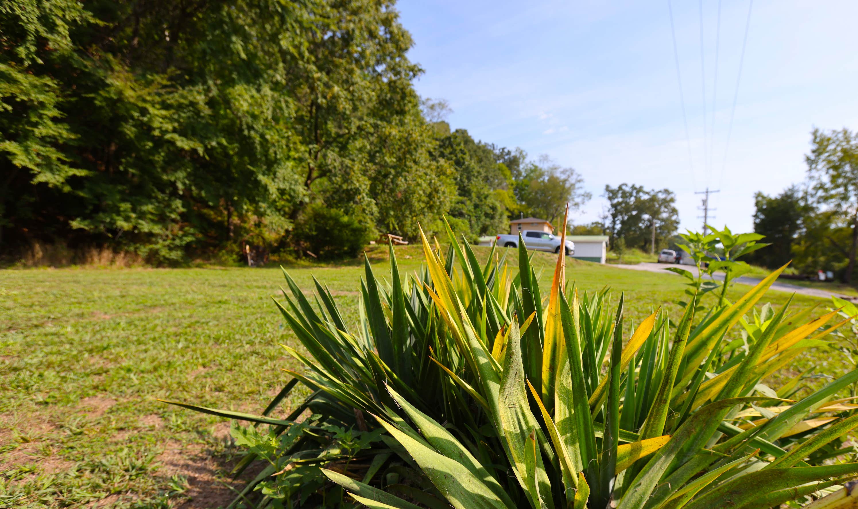 Camper-submitted photo at RV - River Valley near Proctor, OK