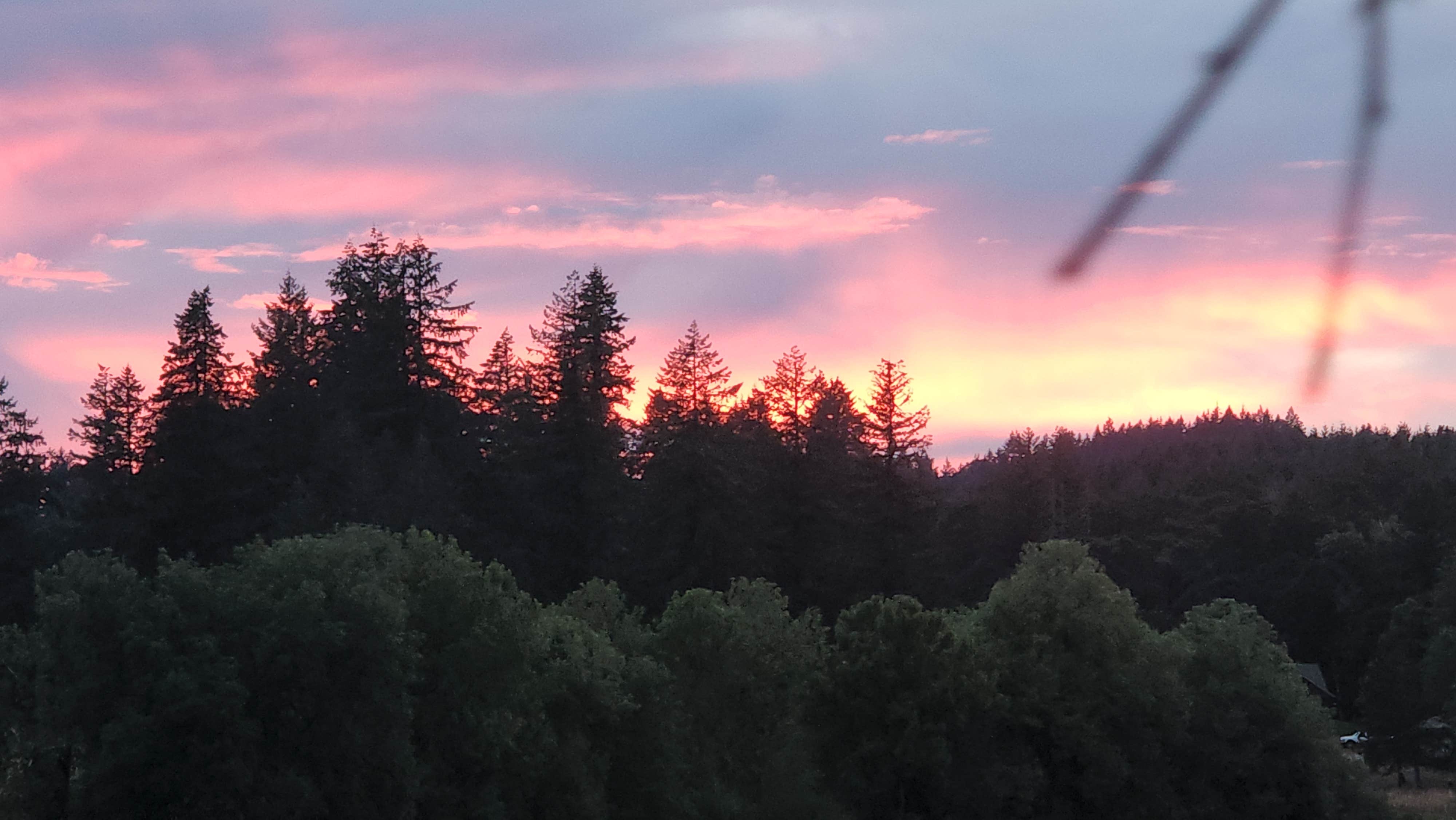 Camping near Tillamook State Forest Stagecoach Horse Camp: Henry Hagg Hideaway, Gaston, Oregon