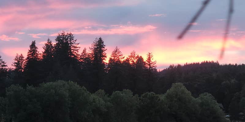 Camper submitted image from Henry Hagg Hideaway