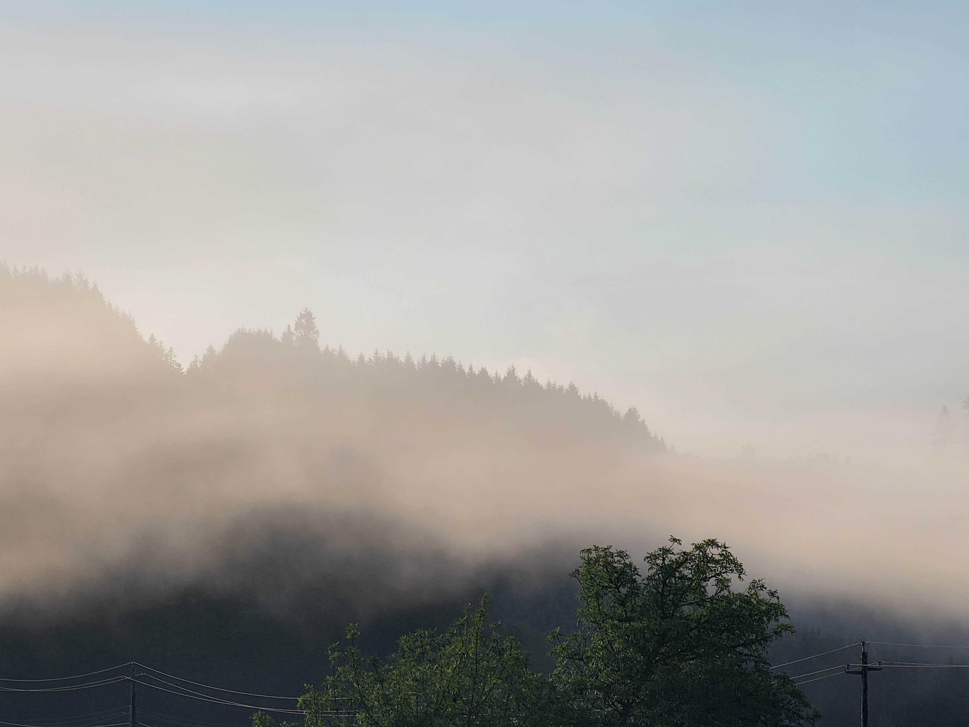 Camper-submitted photo at Henry Hagg Hideaway near Forest Grove, OR