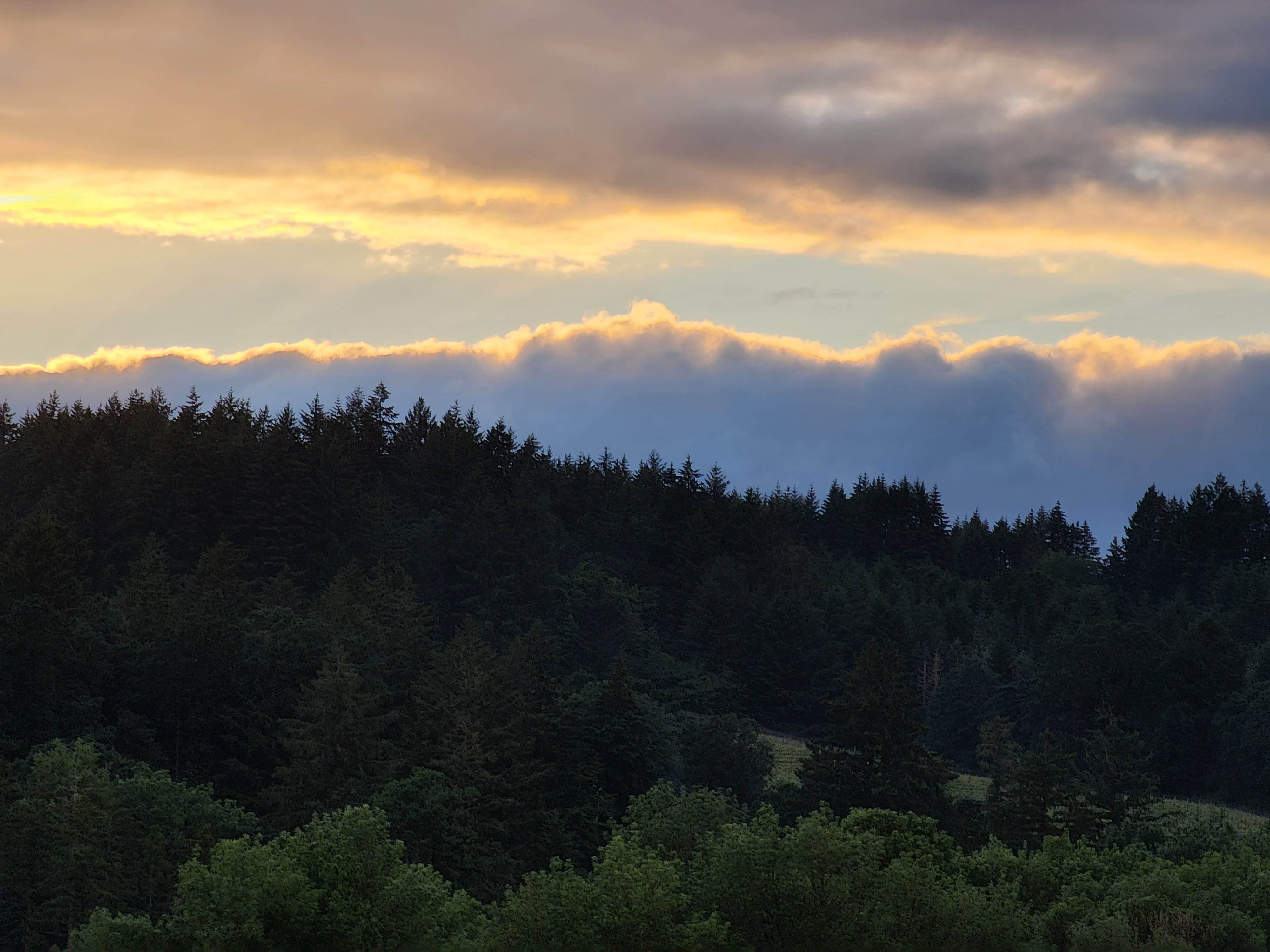 Camper-submitted photo at Henry Hagg Hideaway near Forest Grove, OR
