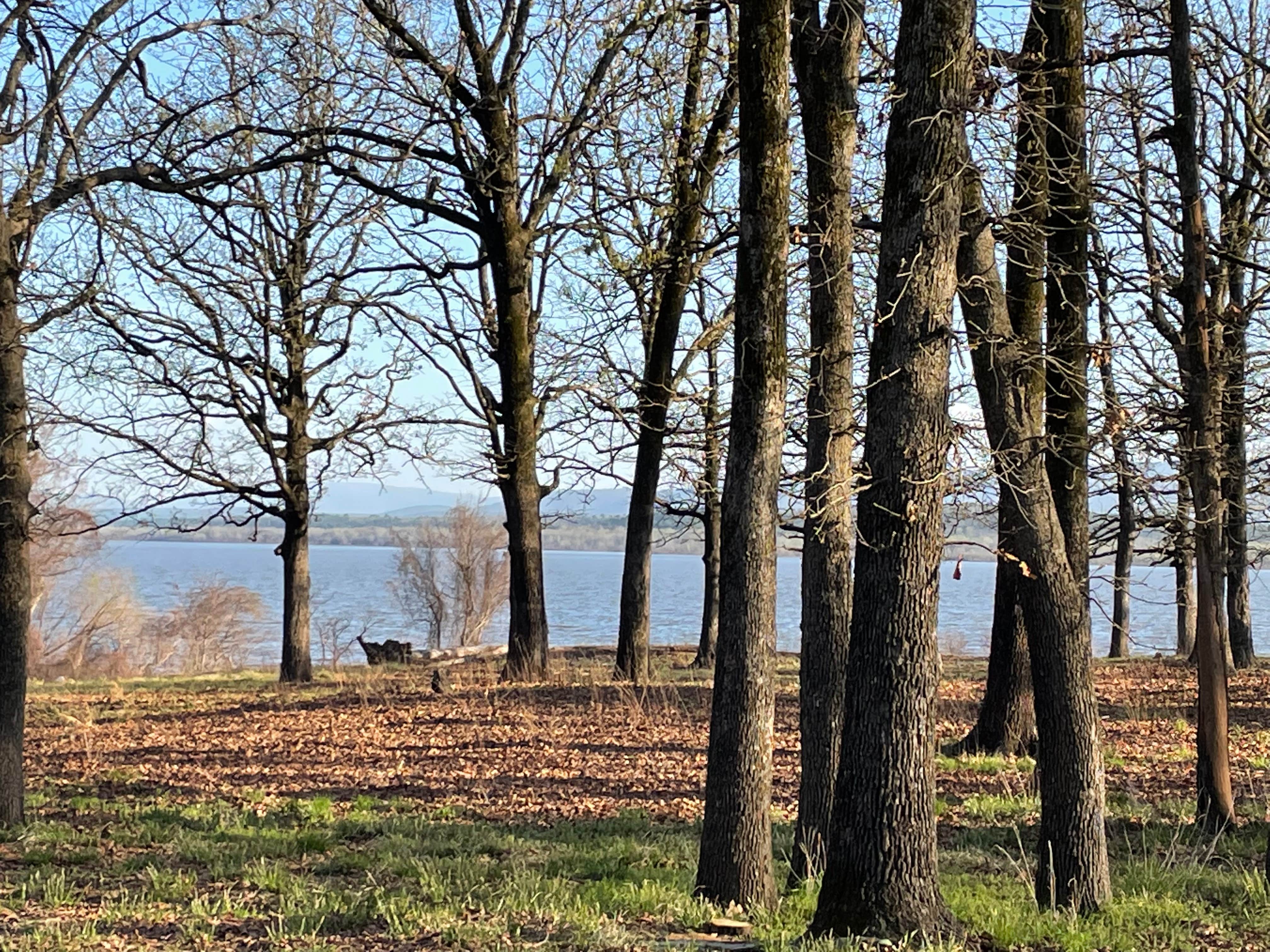 Camper-submitted photo at Victor Campground — Lake Wister State Park near Big Cedar, OK