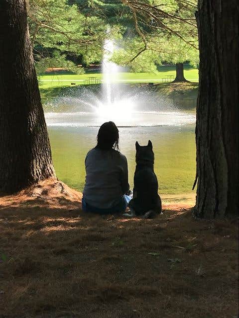 Denise H.'s photo of camping with pets at Pine Hollow Campground near Drury, MA