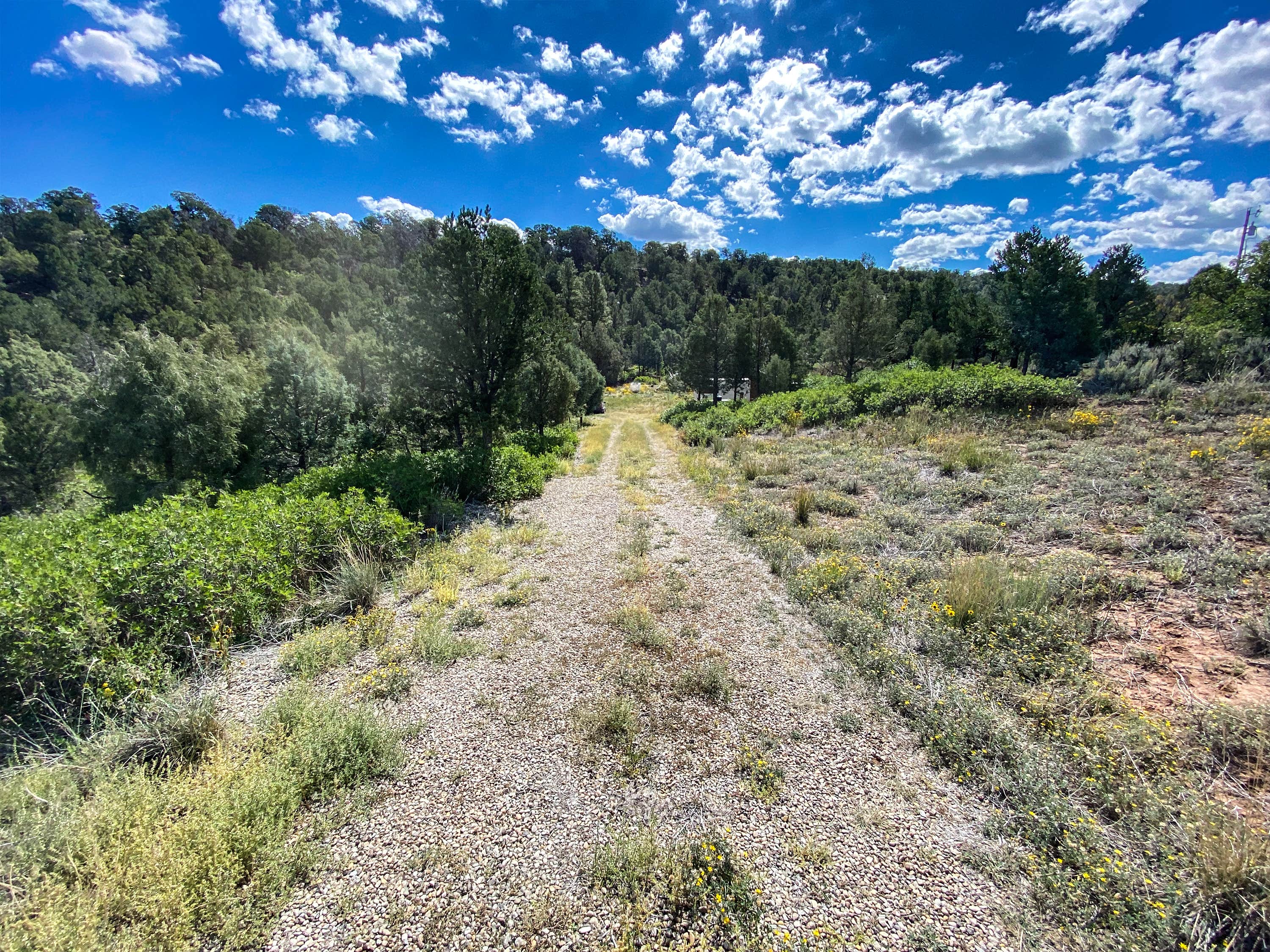 Camping near Black Shadow Campground: Private Alpine Canyon Campsite, Norwood, Colorado
