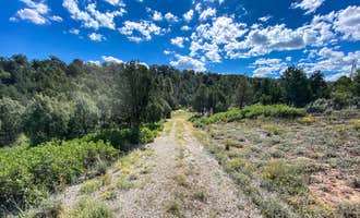 Camping near Iron Springs Campground: Private Alpine Canyon Campsite, Norwood, Colorado