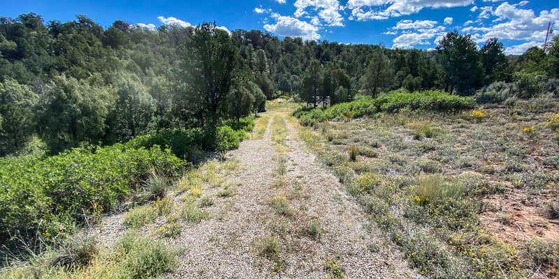 Camper submitted image from Private Alpine Canyon Campsite
