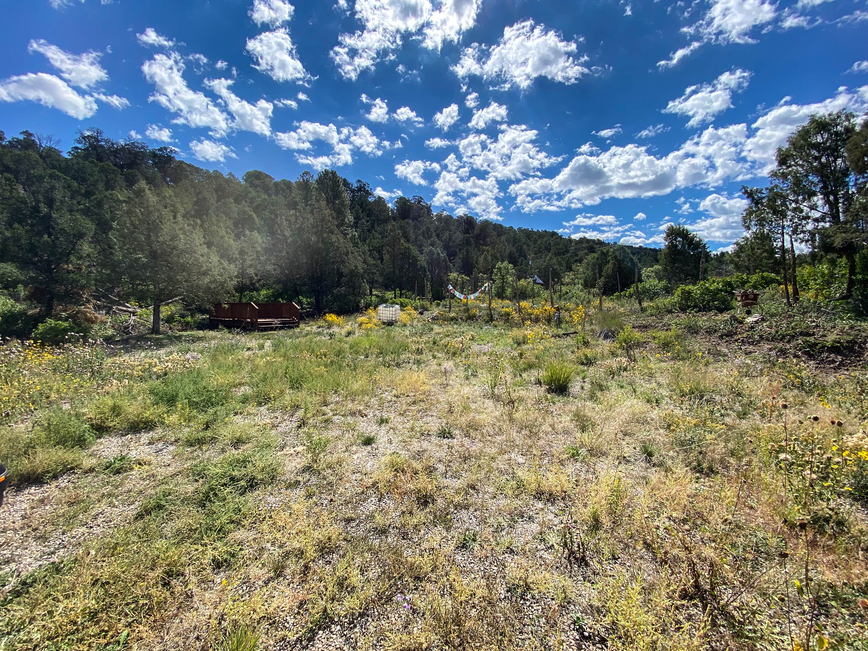 Camper-submitted photo at Private Alpine Canyon Campsite near Nucla, CO