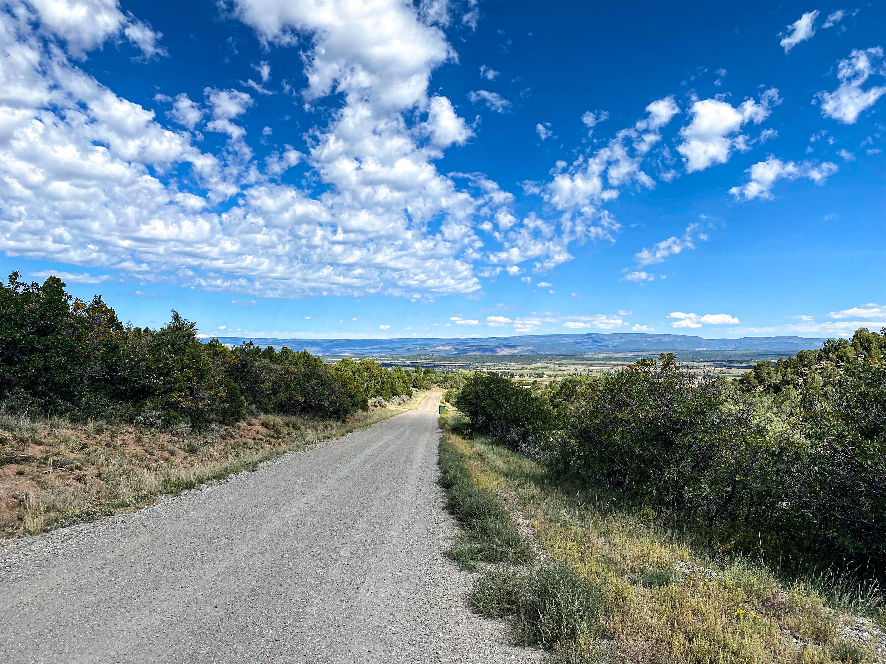 Camper-submitted photo at Private Alpine Canyon Campsite near Nucla, CO