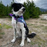 Review photo of Moraine Park Campground — Rocky Mountain National Park by Shelby S., August 24, 2022