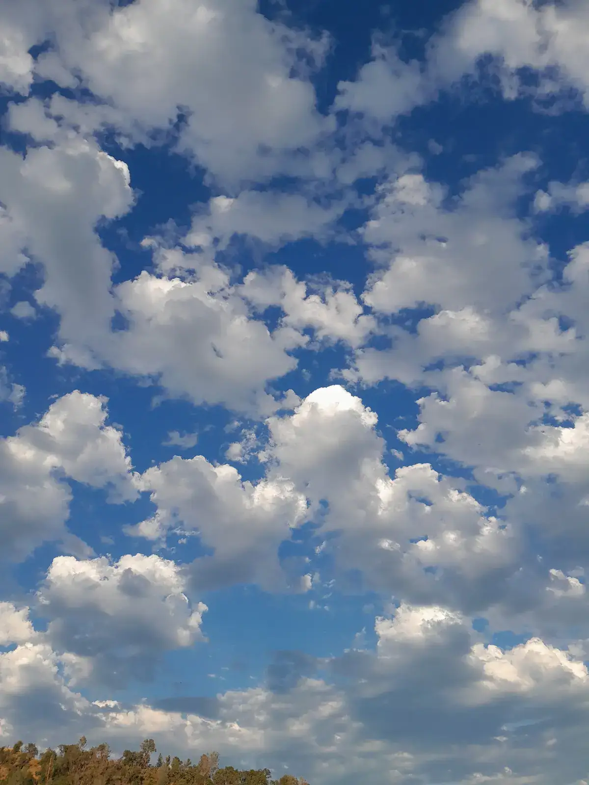 Camper-submitted photo at Richgulchglamping near Jackson, CA