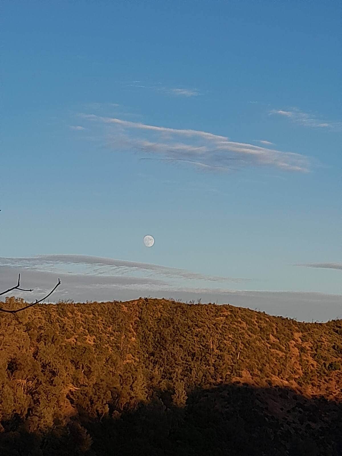 Camper-submitted photo at Richgulchglamping near Jackson, CA
