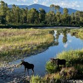 Review photo of Gros Ventre Campground — Grand Teton National Park by kathy C., August 24, 2022