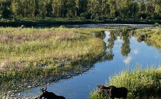 kathy C.'s photo of camping with pets at Gros Ventre Campground — Grand Teton National Park near Moose, WY