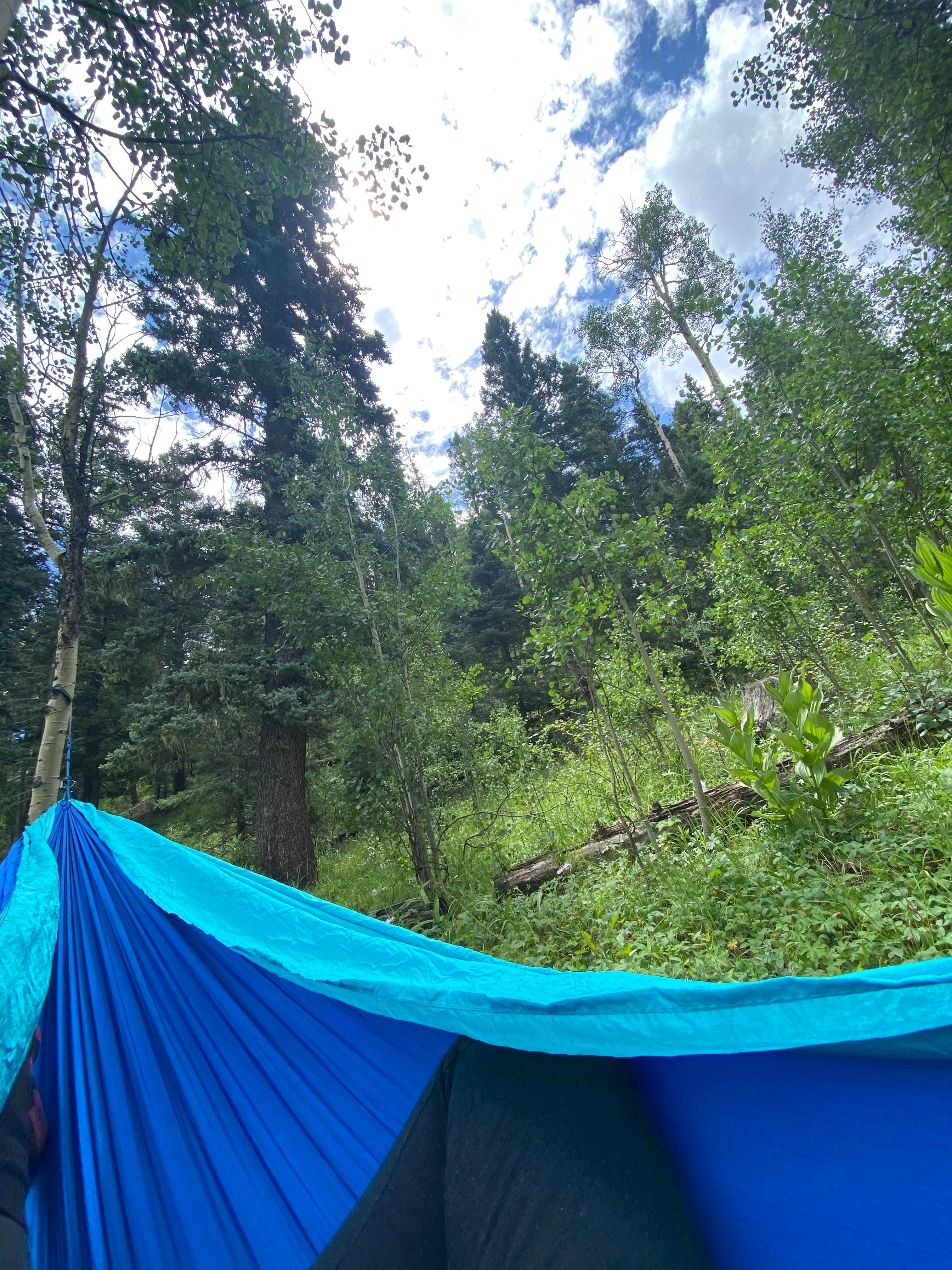 Vanessa R.'s photo of tent camping at Davenport Campground near Cañon City, CO