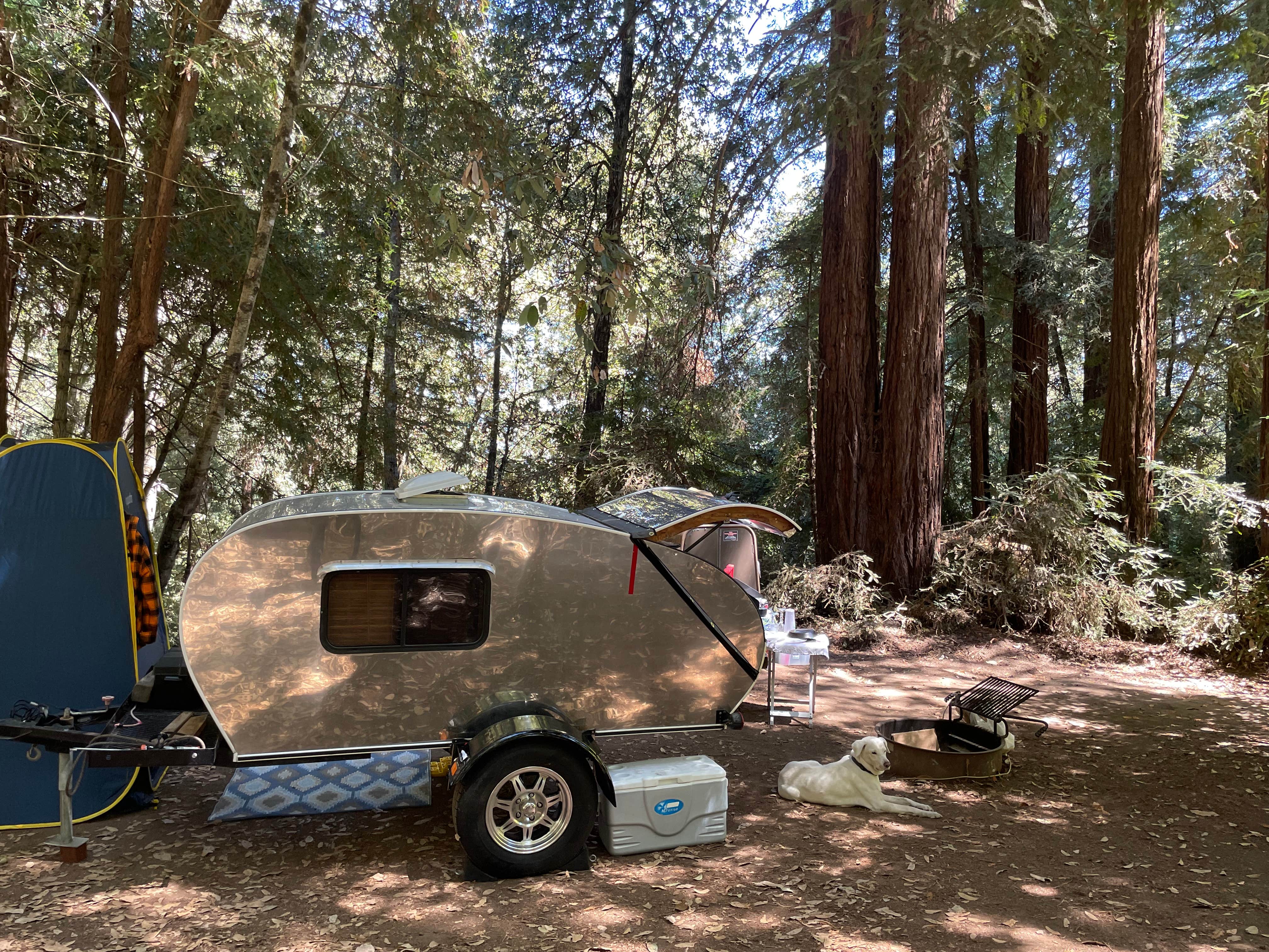 Camper-submitted photo at Mount Madonna County Park near Paicines, CA