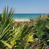 Review photo of Gamble Rogers Memorial State Recreation Area at Flagler Beach by Nancy H., August 25, 2022