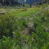 Review photo of Cold Springs Campground — Sequoia National Park by Cam  C., August 25, 2022