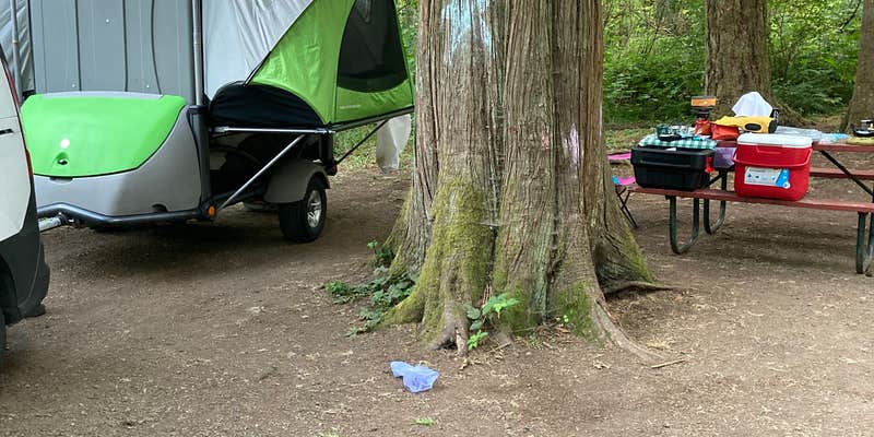 Camper submitted image from Metzler Park