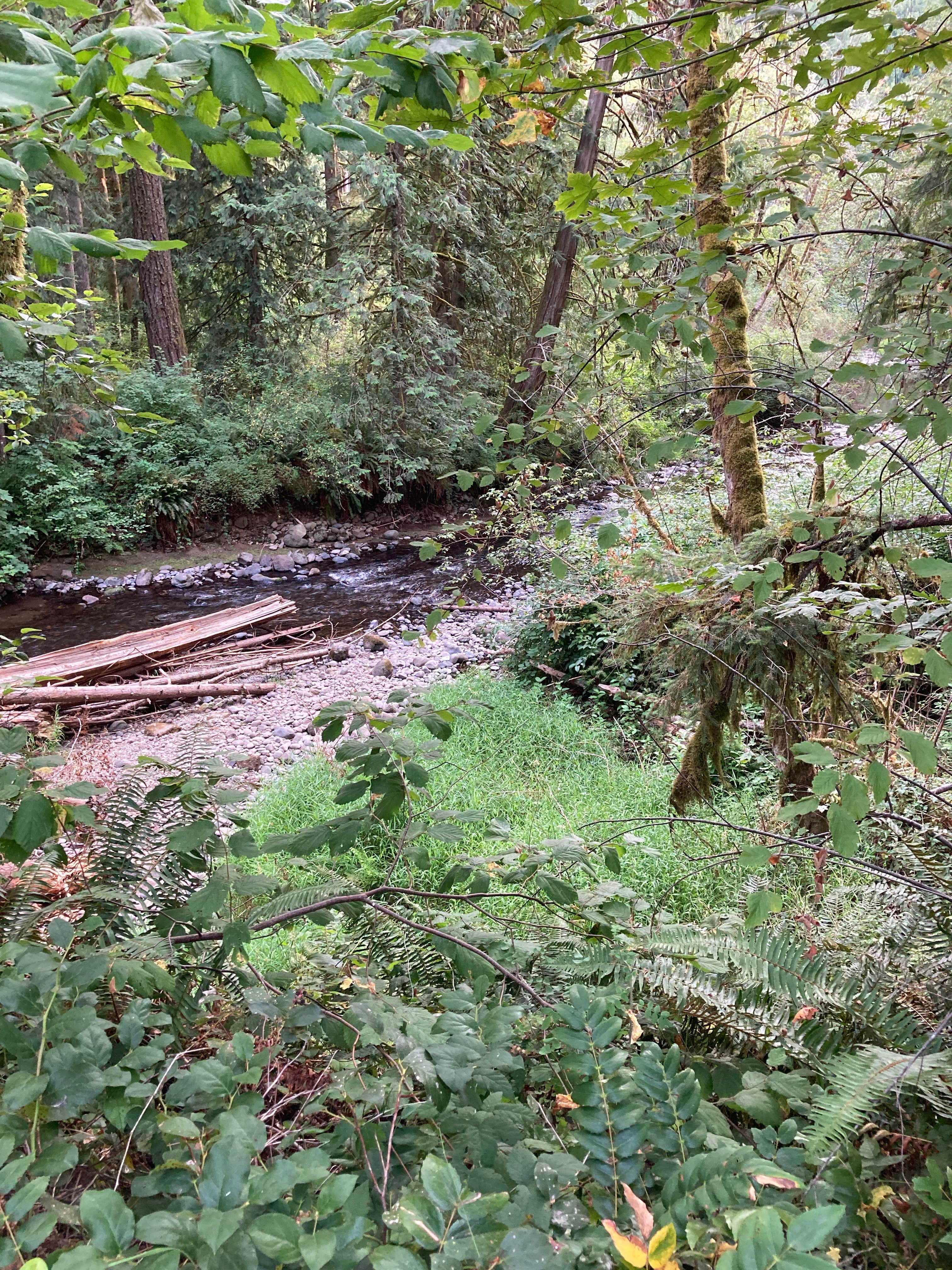 Camper-submitted photo at Metzler Park near Canby, OR