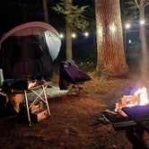 Review photo of Nature's Campsites  by Miccal  M., August 25, 2022