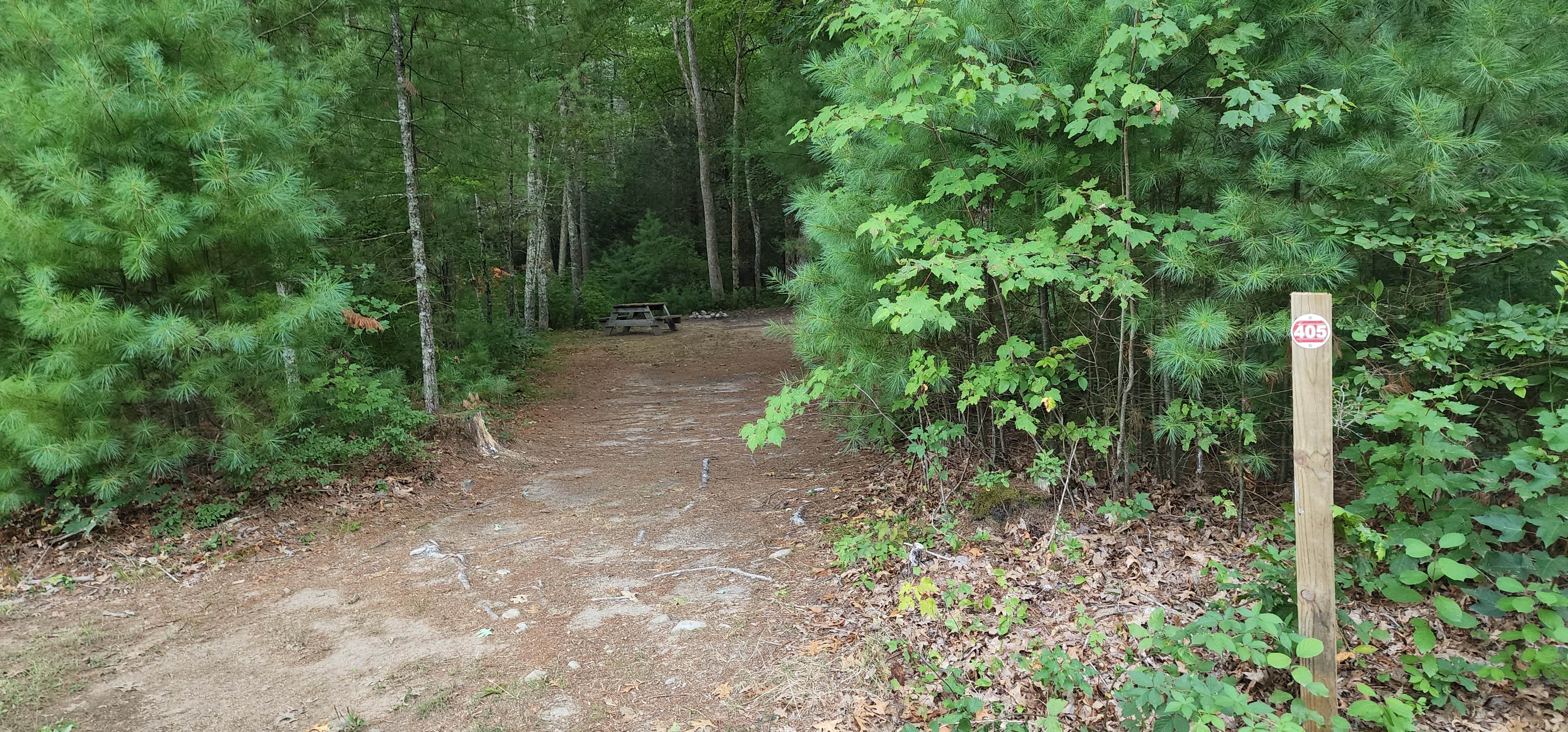 Camper submitted image from Nature's Campsites - 2