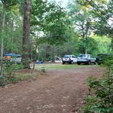 Review photo of Nature's Campsites by Miccal  M., August 25, 2022