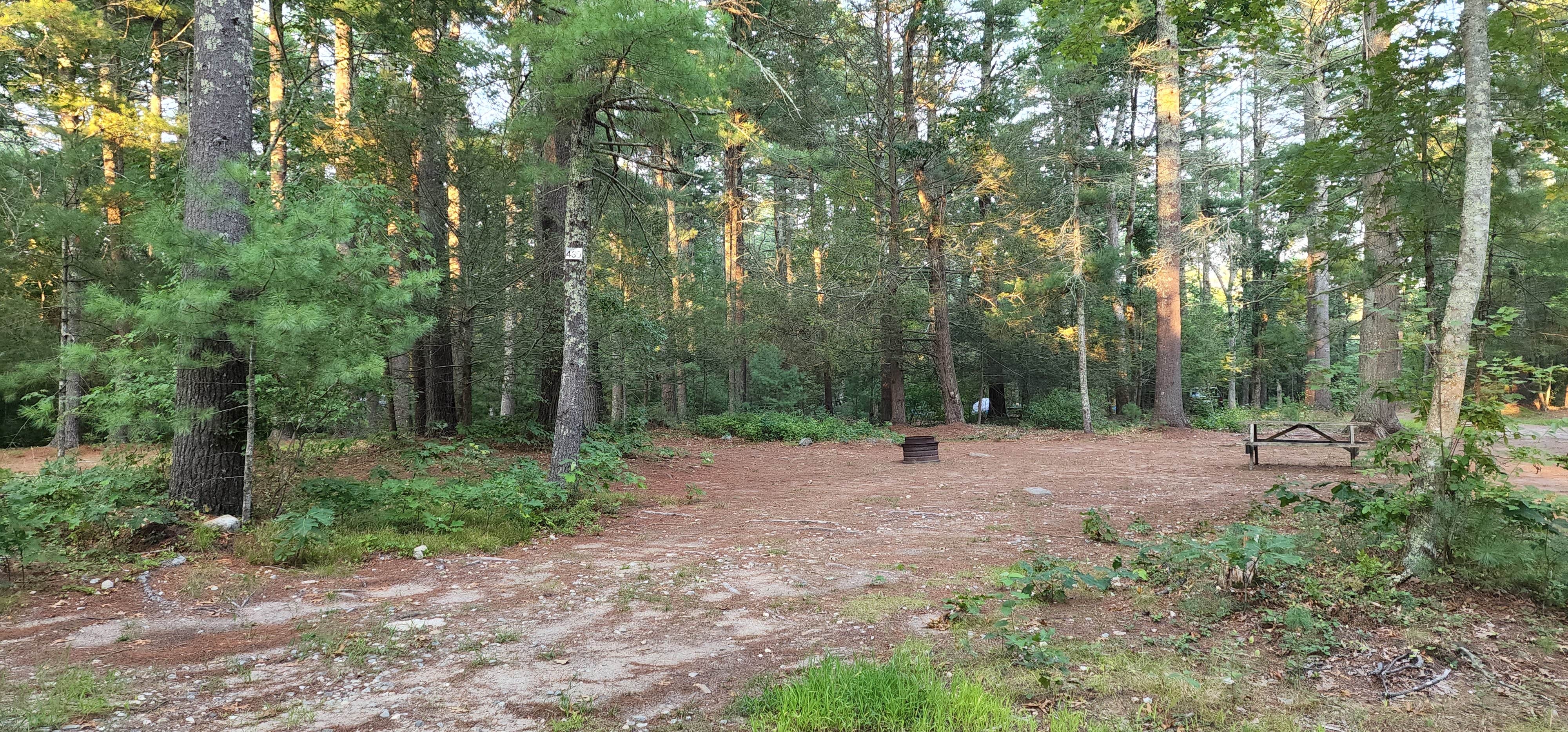 Camper-submitted photo at Nature's Campsites near Rockville, RI