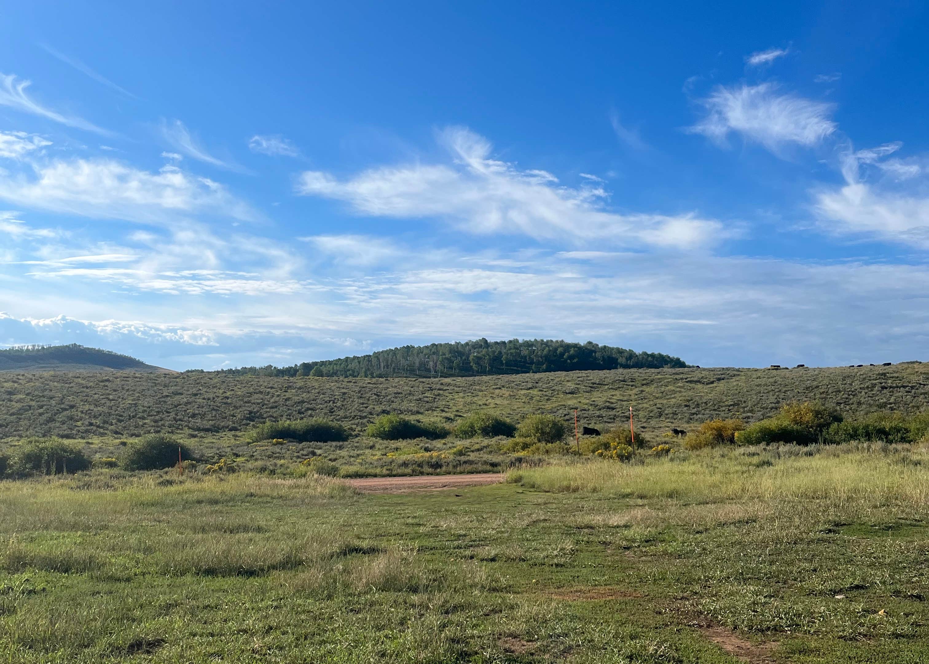 Dispersed Camping on Mud Creek Road Camping | The Dyrt