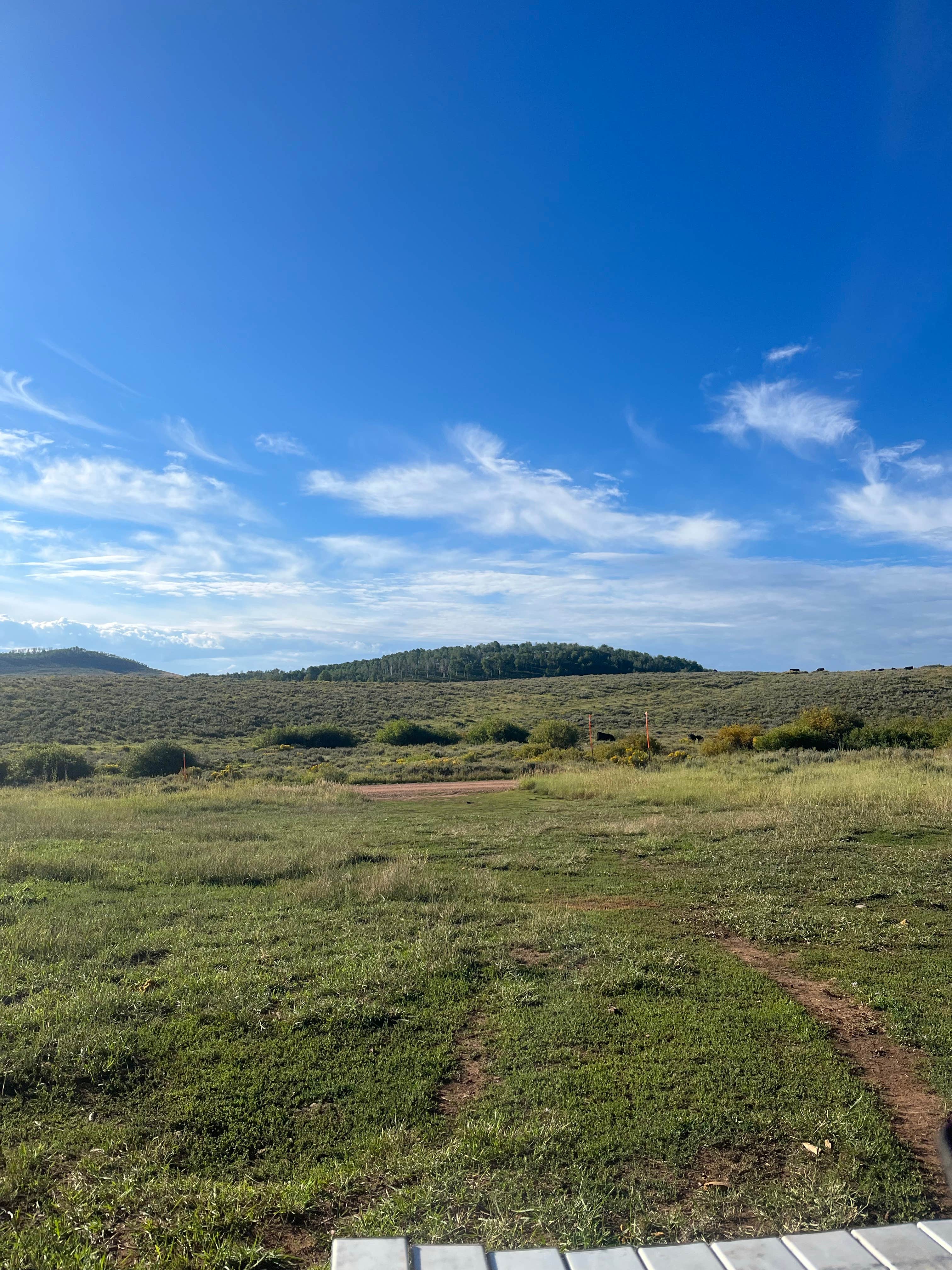 Camper submitted image from Dispersed Camping on Mud Creek Road - 1