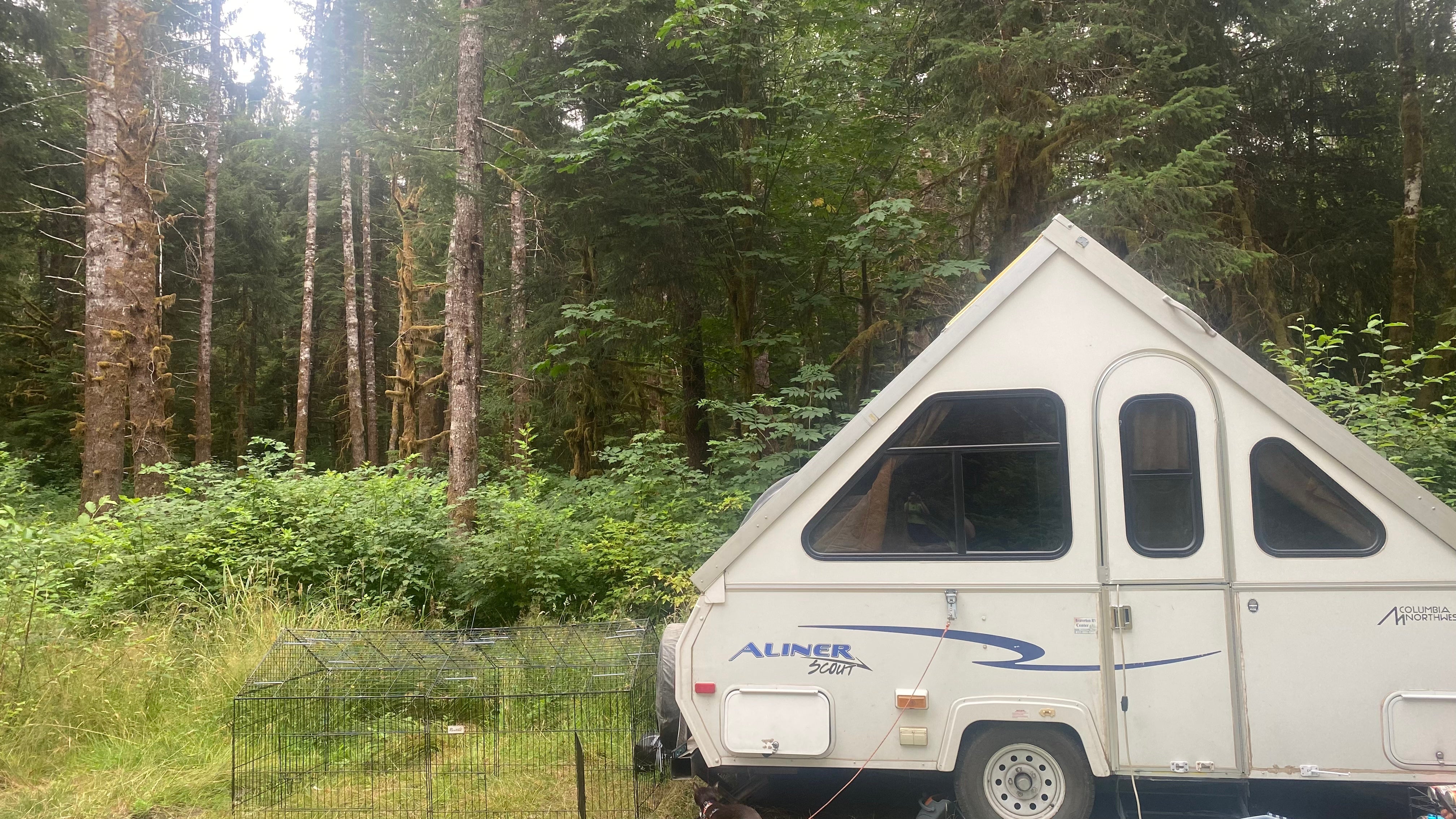 Camper submitted image from Upper Hoh Road Campsite - 4