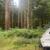 Review photo of Upper Hoh Road Campsite by Cameryn L., August 13, 2022