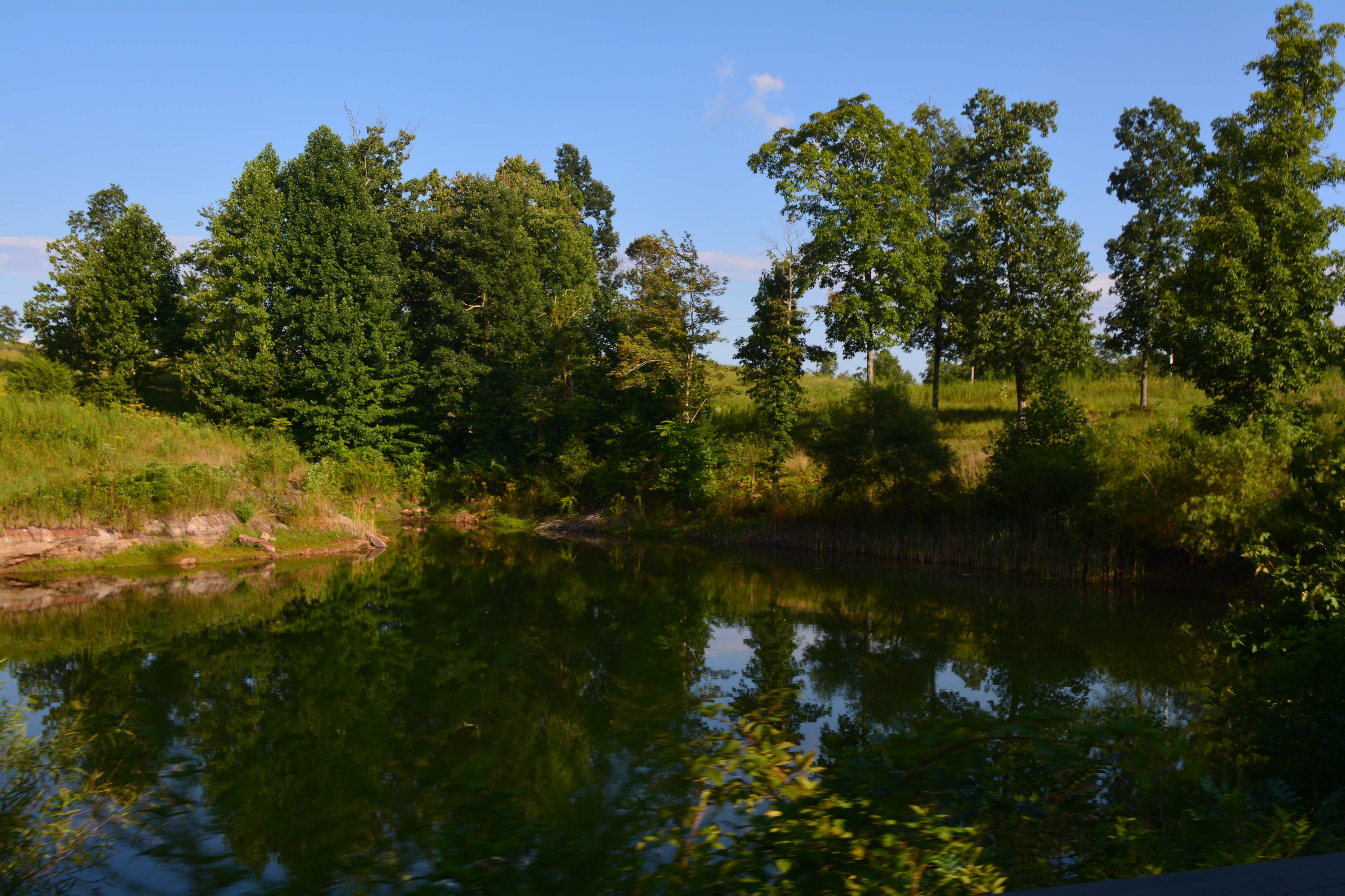Camper-submitted photo at Whippoorwill Woods Nature Retreat near Normal, AL