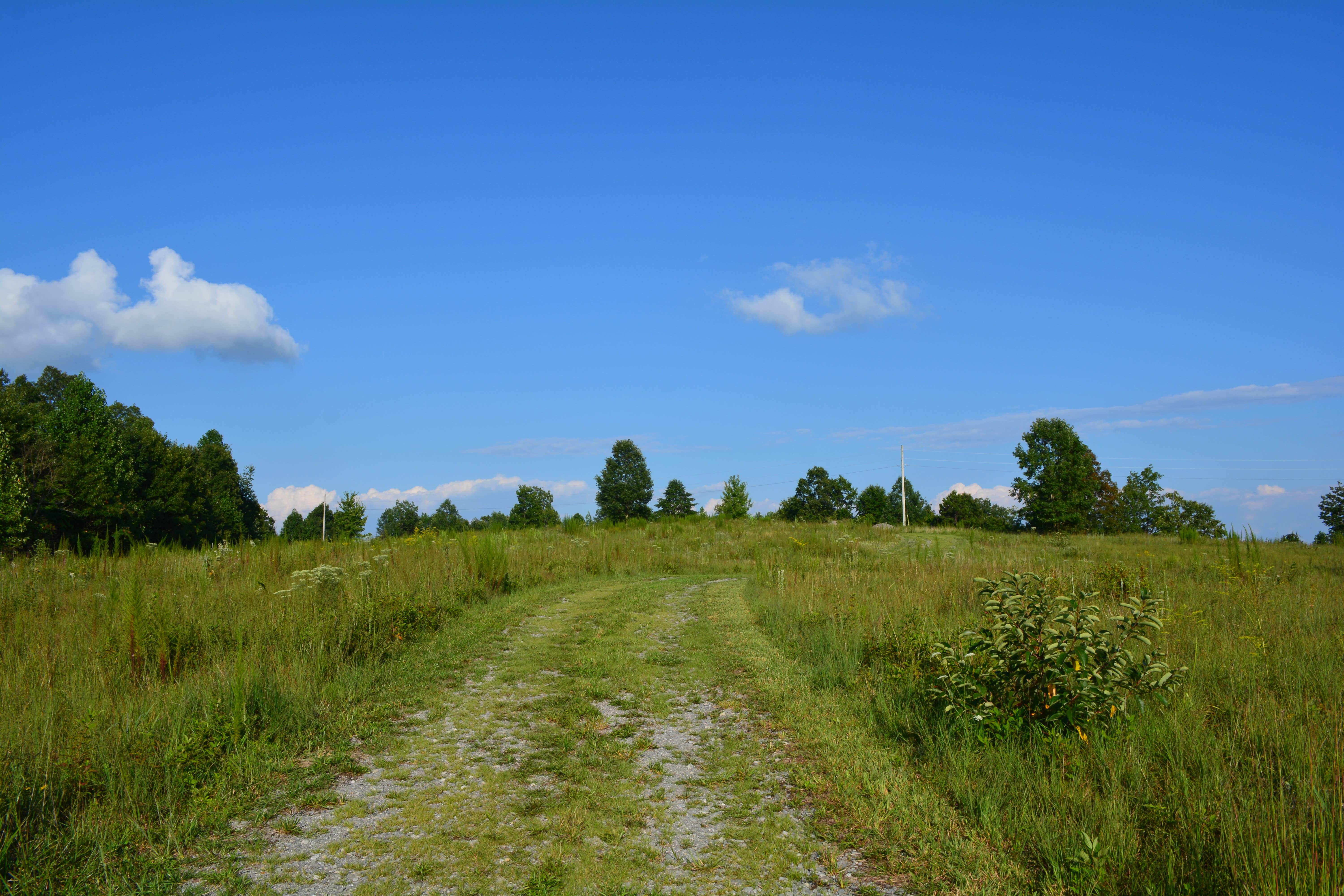 Camper-submitted photo at Whippoorwill Woods Nature Retreat near Normal, AL