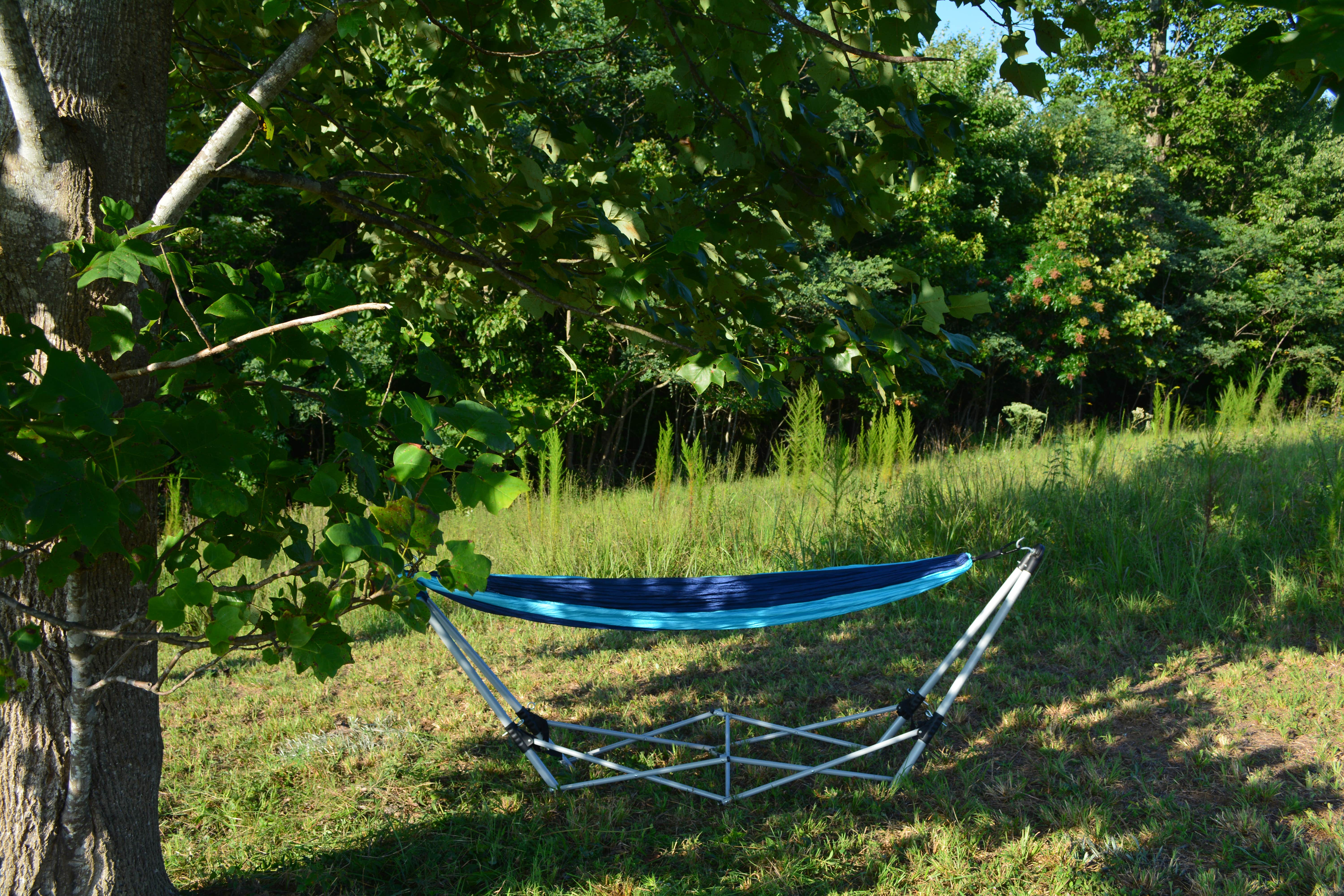 Camper-submitted photo at Whippoorwill Woods Nature Retreat near Bridgeport, AL