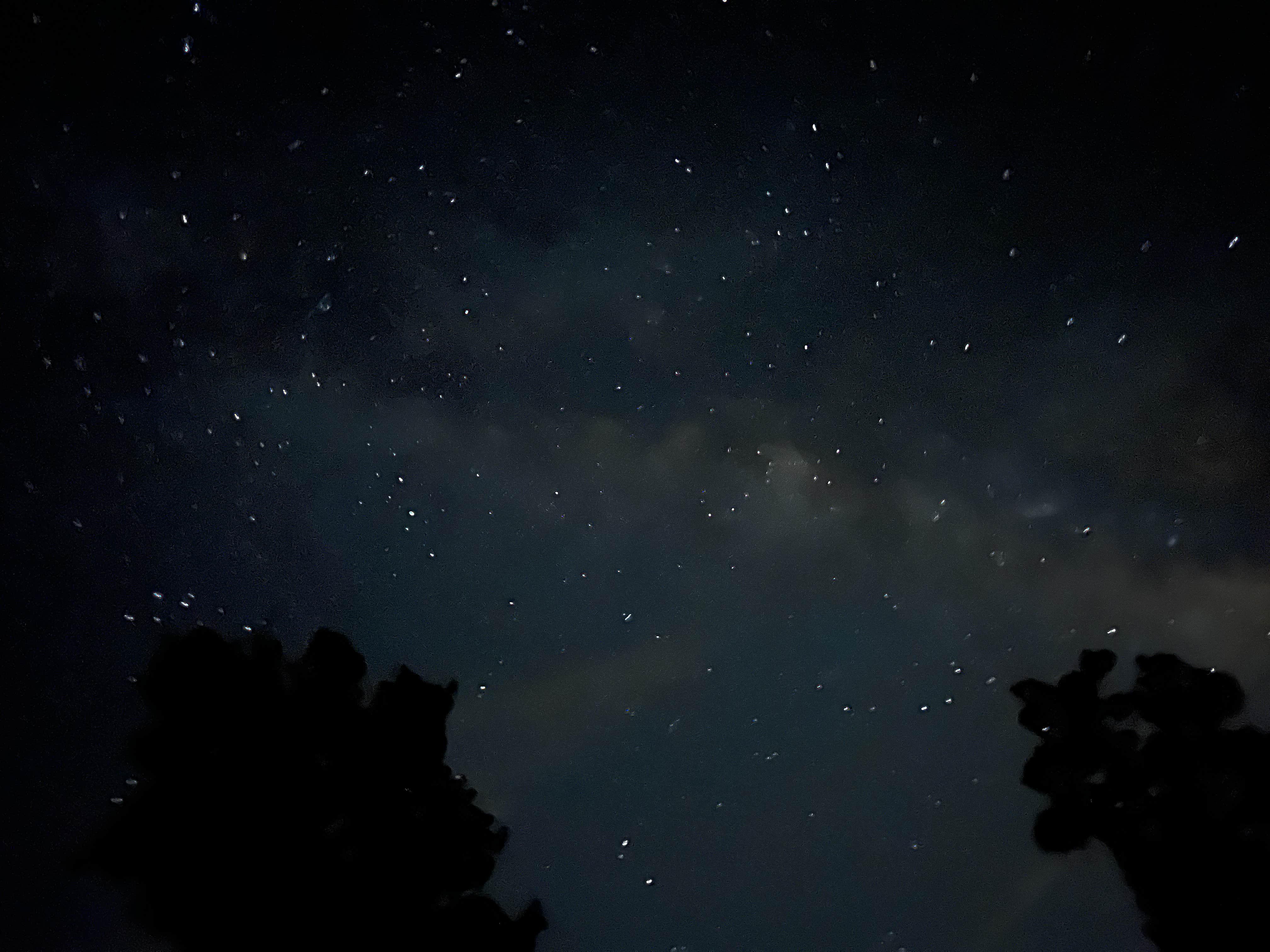 Camper-submitted photo at Whippoorwill Woods Nature Retreat near Normal, AL