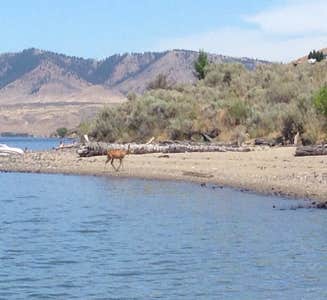 Camper-submitted photo from Jones Bay Campground — Lake Roosevelt National Recreation Area