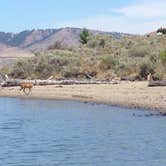 Review photo of Jones Bay Campground — Lake Roosevelt National Recreation Area by Scott B., July 24, 2018