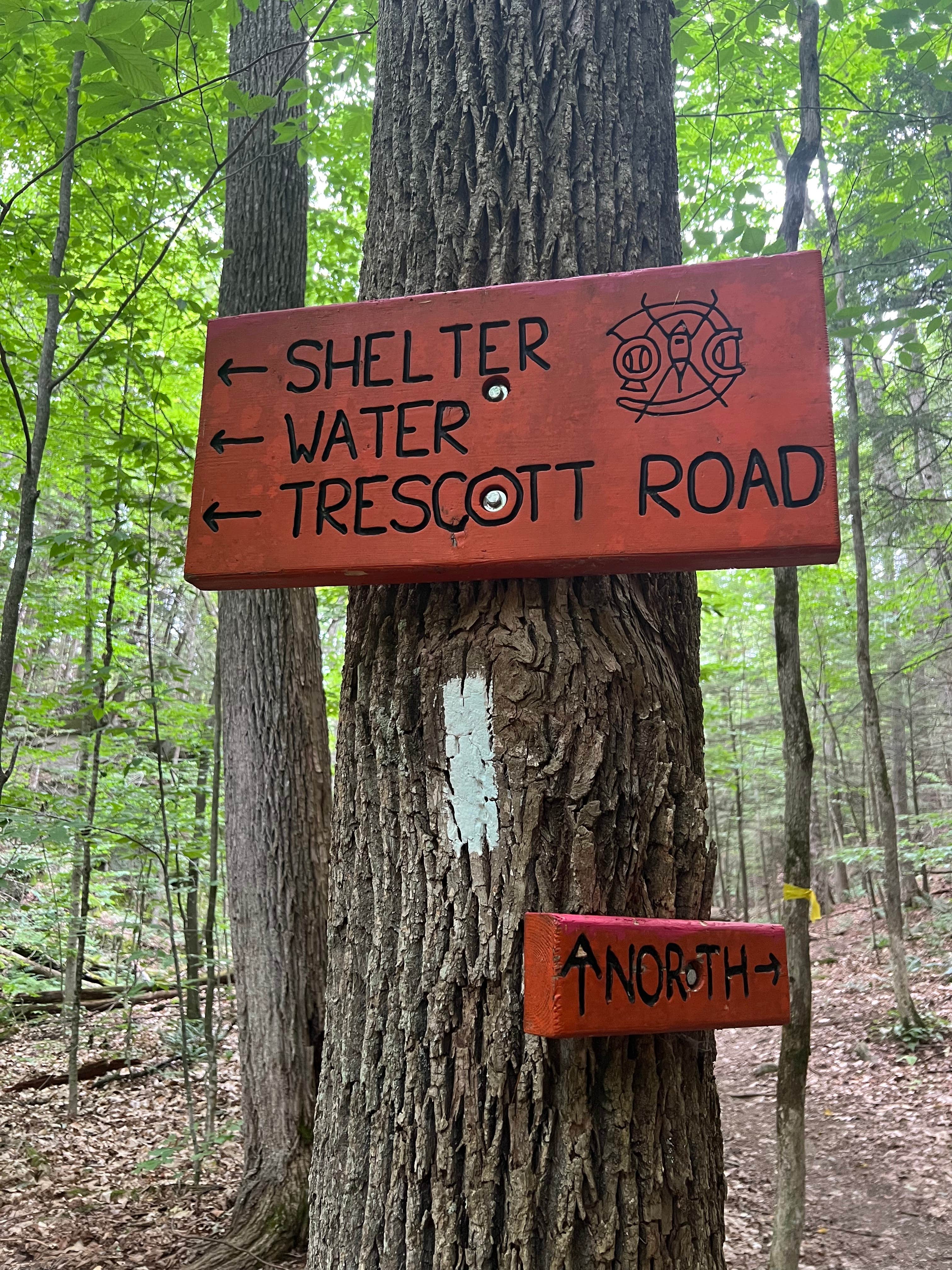 Camper-submitted photo at Velvet Rocks Shelter Backcountry Campground on the AT — Appalachian National Scenic Trail near Lebanon, NH