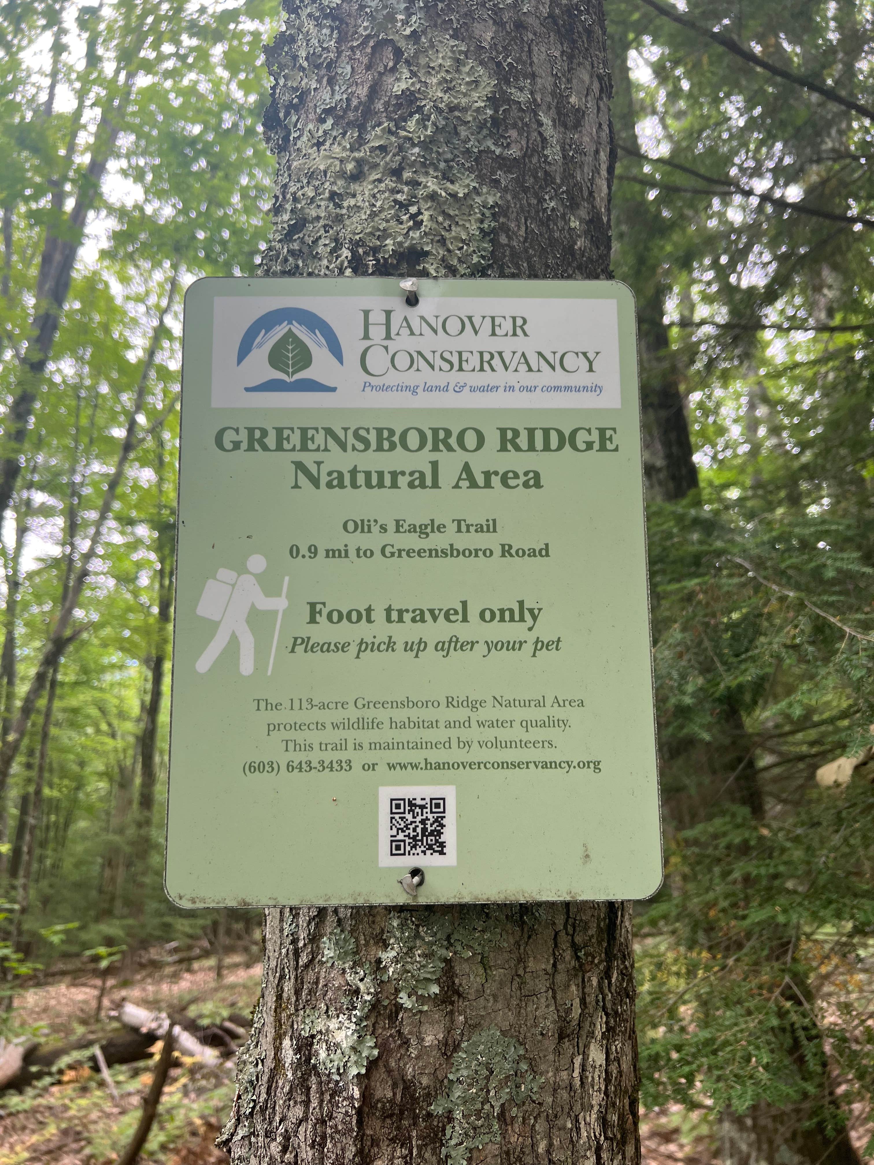 Camper-submitted photo at Velvet Rocks Shelter Backcountry Campground on the AT — Appalachian National Scenic Trail near Lebanon, NH