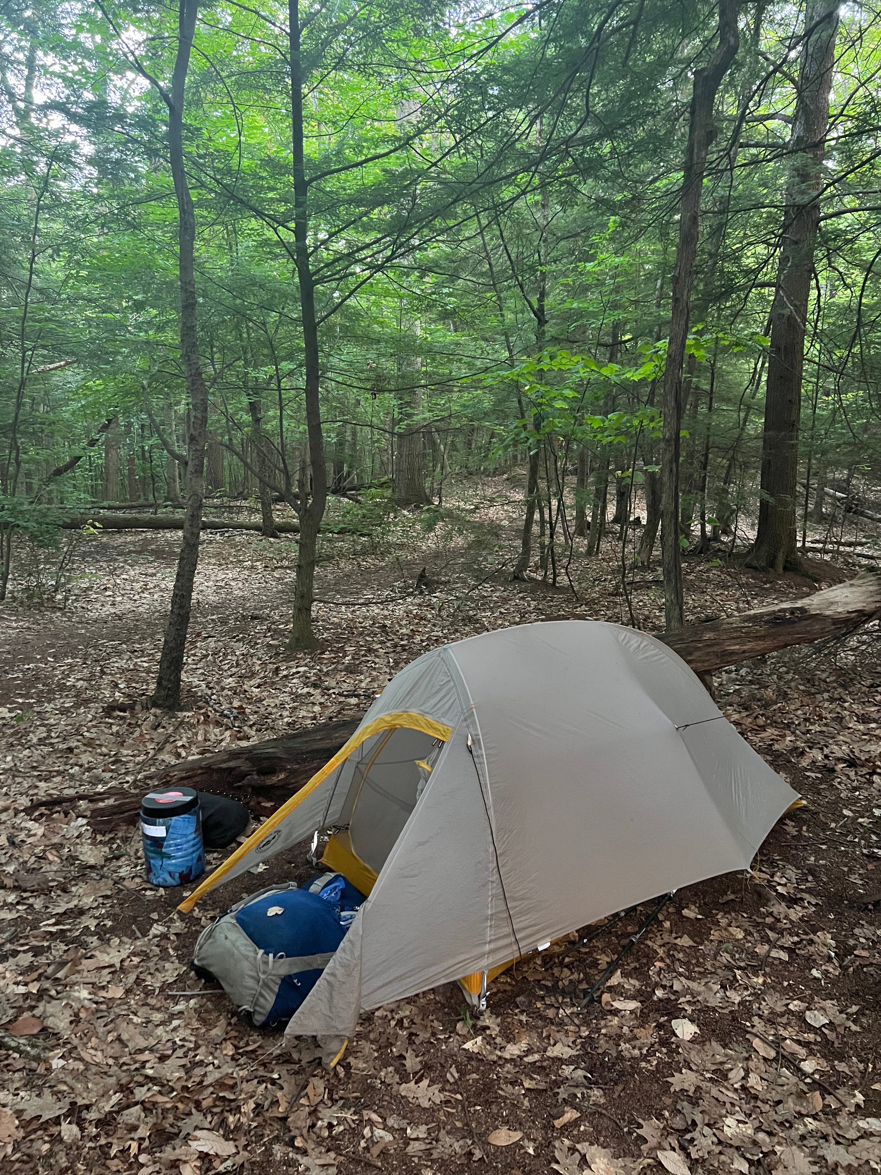 Camper submitted image from Velvet Rocks Shelter Backcountry Campground on the AT — Appalachian National Scenic Trail - 1