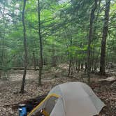 Review photo of Velvet Rocks Shelter Backcountry Campground on the AT — Appalachian National Scenic Trail by Justin P., August 25, 2022