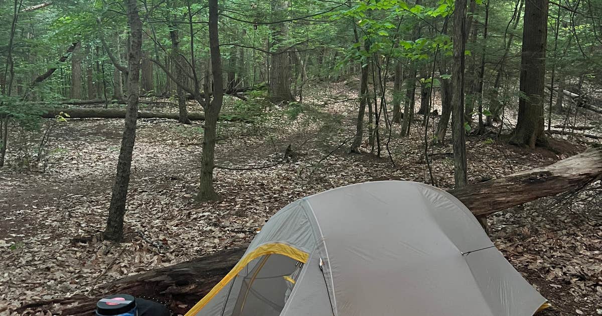 Velvet Rocks Shelter Backcountry Campground on the AT — Appalachian ...